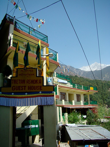 Tibetan Ashoka Guest House Mcleodganj